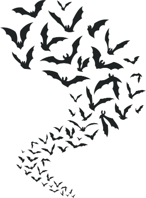 Schwarm Fledermäuse steigt von unten nach oben