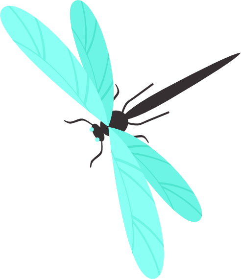 Schwarze Libelle mit mintfarbenen Flügeln